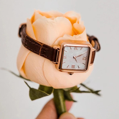 Small Brown Leather Watch Womens Square Fashion Roman Watch Slim Belt